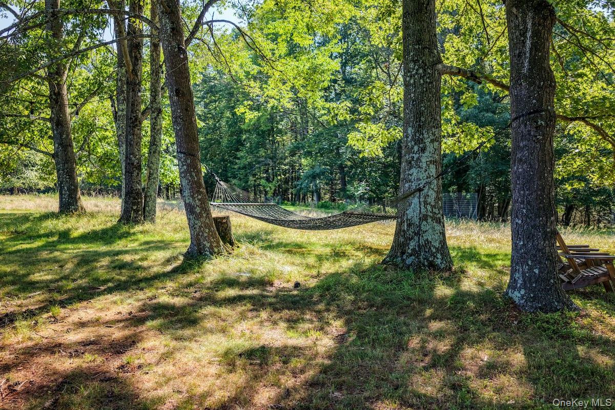 81 Devils Road Lake Huntington, NY 12752 - Photo 24 of 24