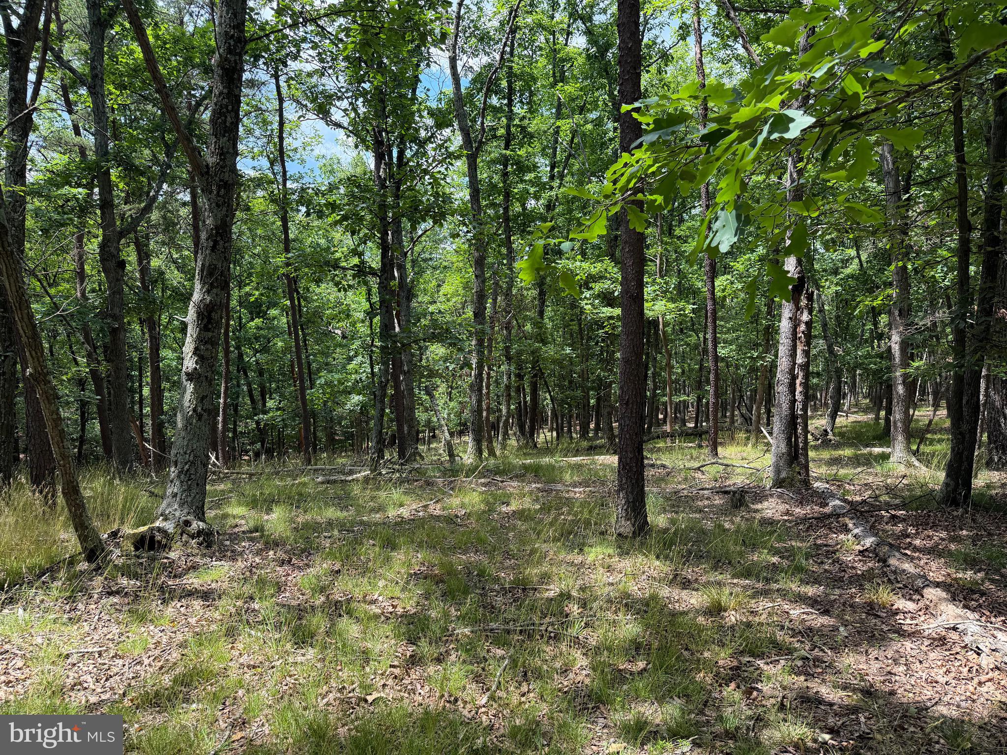 0 Headsville Road Keyser, WV 26726 - Photo 8 of 24