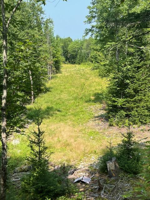202 Lower Cross Road Hudson, ME 04449 - Photo 39 of 44 1