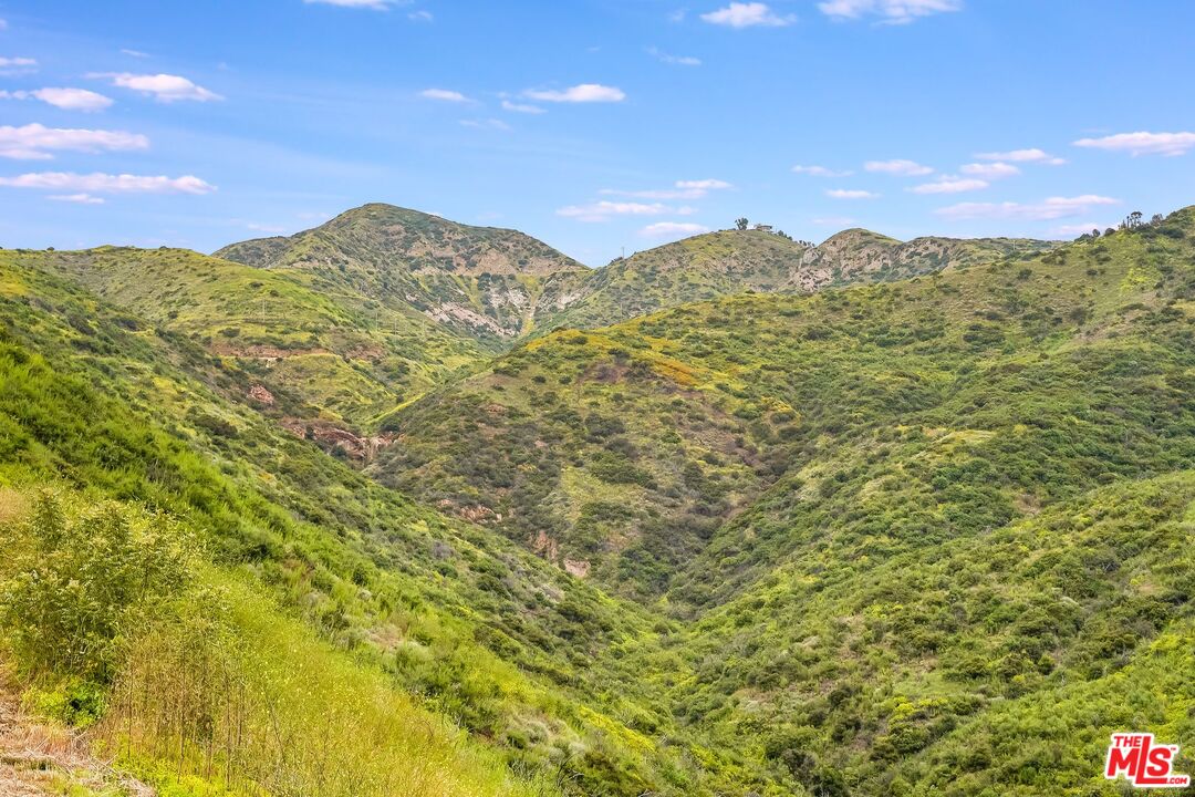 26575 Ocean View Drive Malibu, CA 90265 - Photo 37 of 39