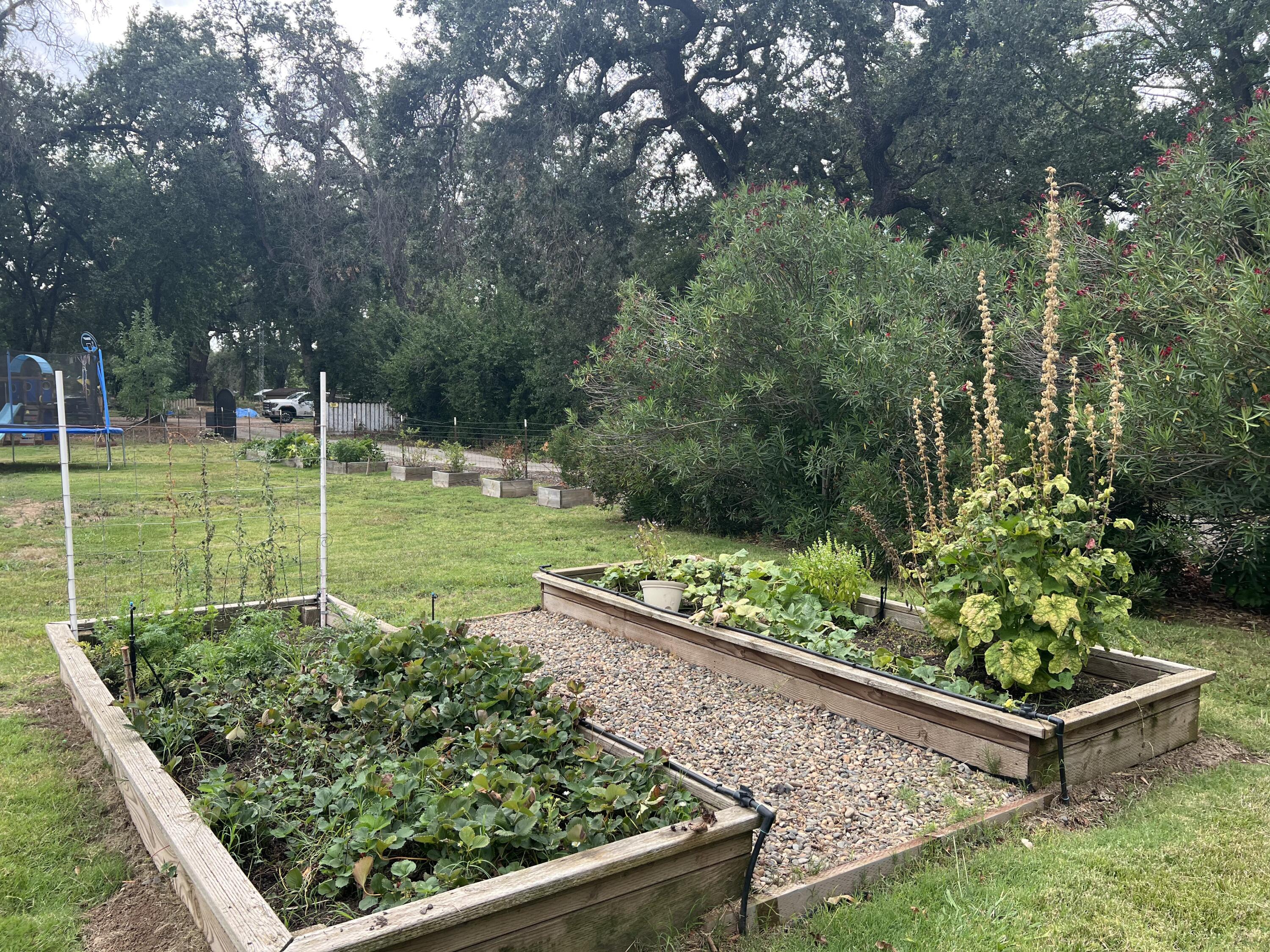 5500 Balls Ferry Road Anderson, CA 96007 - Photo 45 of 49 Raised Planter Beds