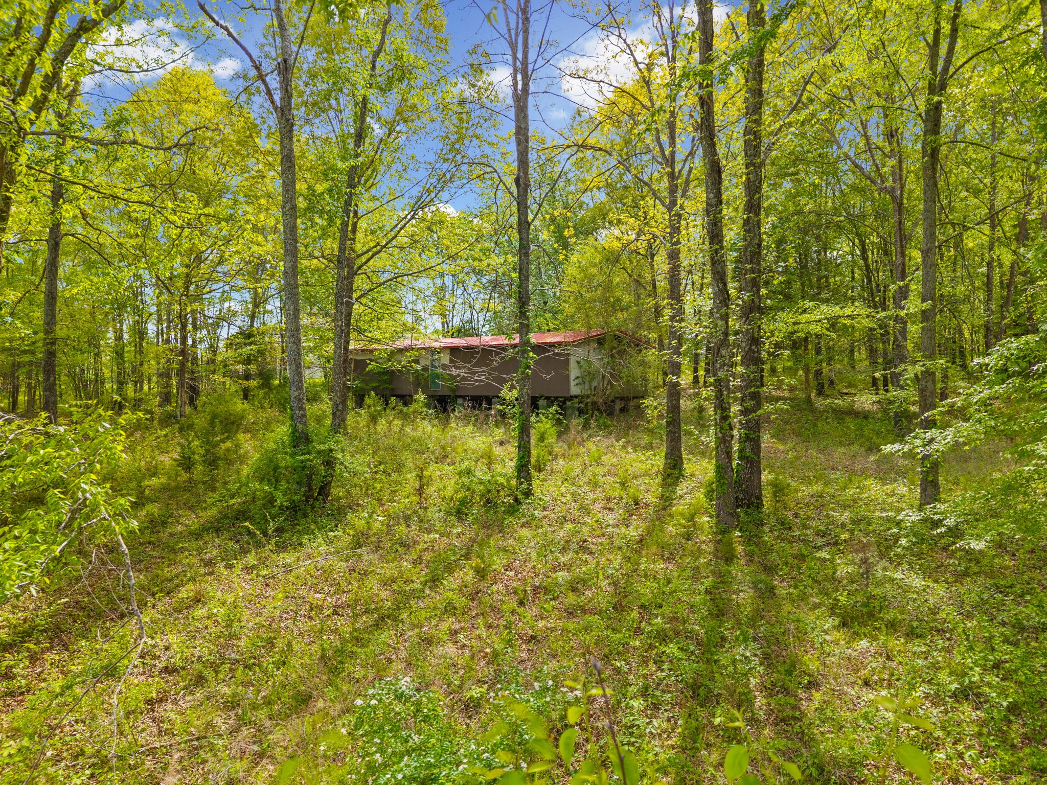208 Tomsic Road Indian Mound, TN 37079 - Photo 25 of 40 Gallery Image 25