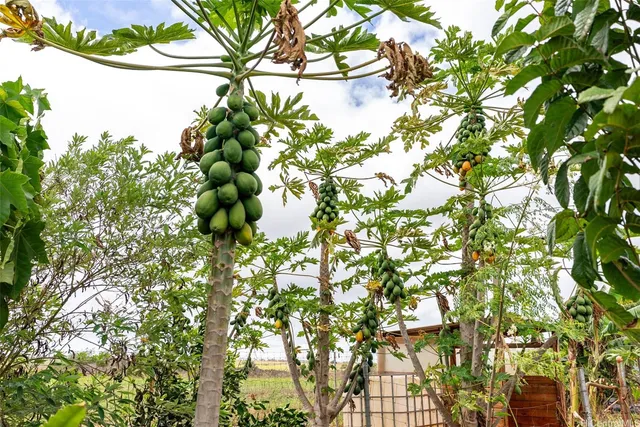 $1,650,000 | 64-486 Kamehameha Highway, Unit 23, Haleiwa, HI 96712