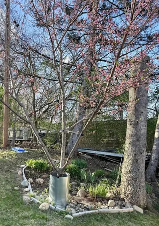 $259,000 | 1110 Cambridge Drive, Onsted, MI 49265