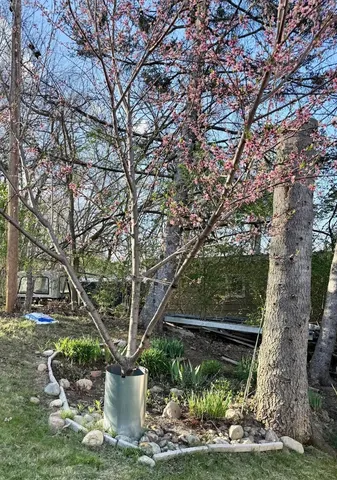 $259,000 | 1110 Cambridge Drive, Onsted, MI 49265