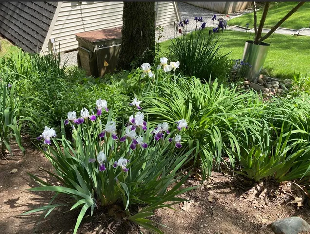 $259,000 | 1110 Cambridge Drive, Onsted, MI 49265