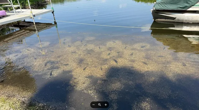 $259,000 | 1110 Cambridge Drive, Onsted, MI 49265