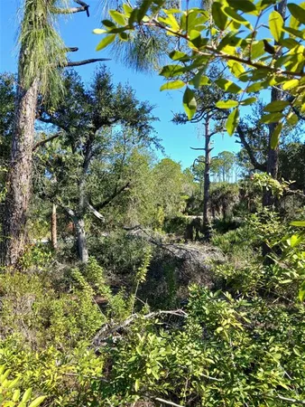 a backyard of a house with lots of trees