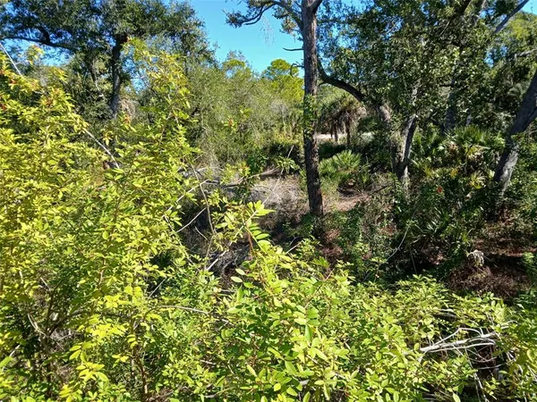 a view of a garden