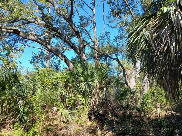 a view of a garden with a tree