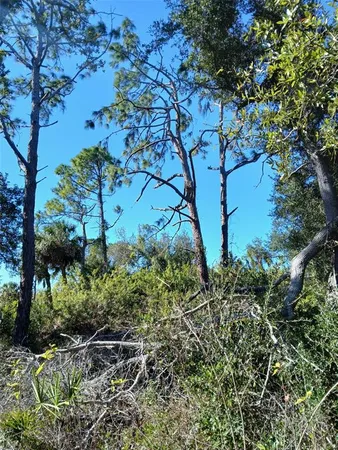 $99,999 | 13493 Markham Avenue, Port Charlotte, FL 33953
