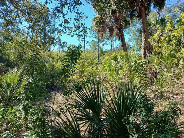 a plant view with garden