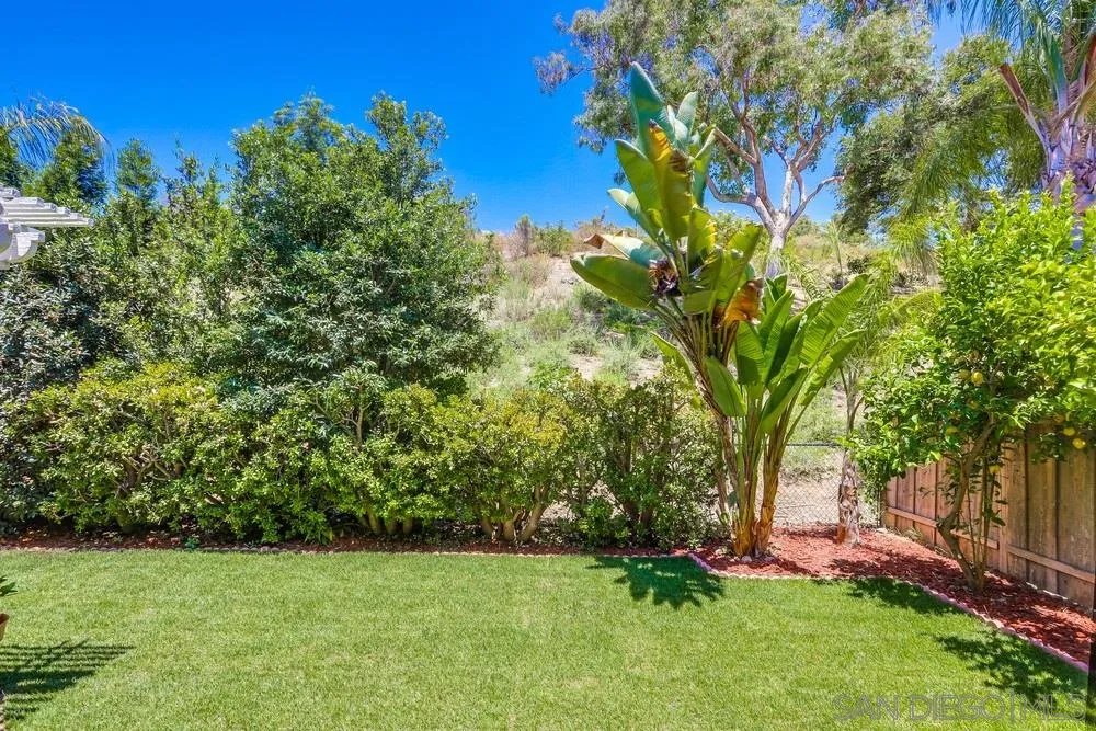 11746 Springside Road San Diego, CA 92128 - Photo 25 of 25 a view of a trees with a tree in the background