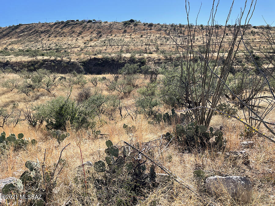 1689 Ave Calamar, Unit 121 Rio Rico, AZ 85648 - Photo 3 of 6