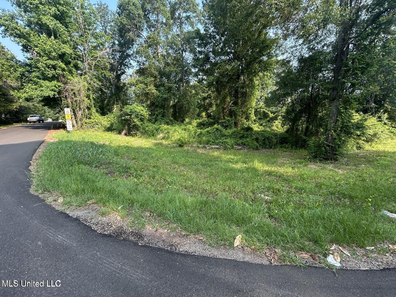 Love Street Brookhaven, MS 39601 - Photo 2 of 10 20250603145609742270000000-o