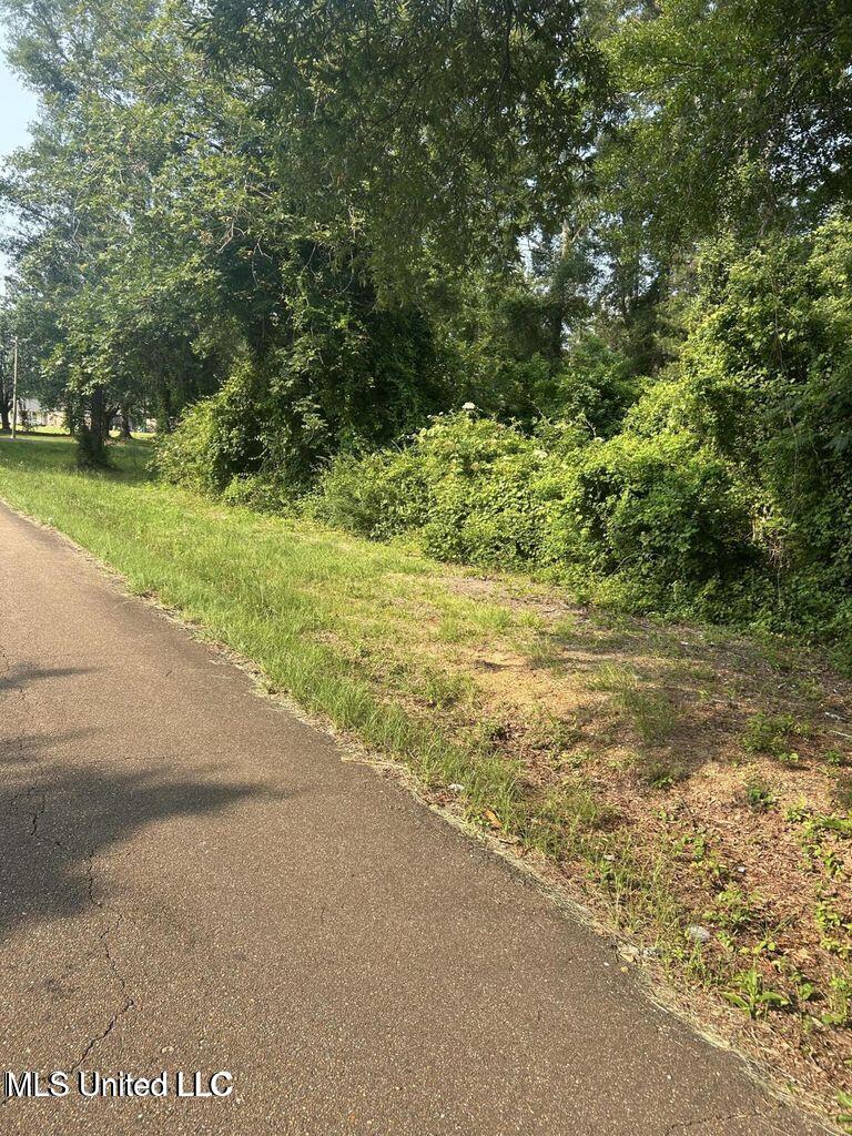 Love Street Brookhaven, MS 39601 - Photo 4 of 10 20250603145633618597000000-o