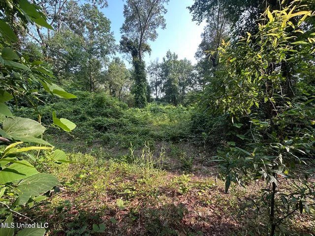 $26,000 | Love Street, Brookhaven, MS 39601