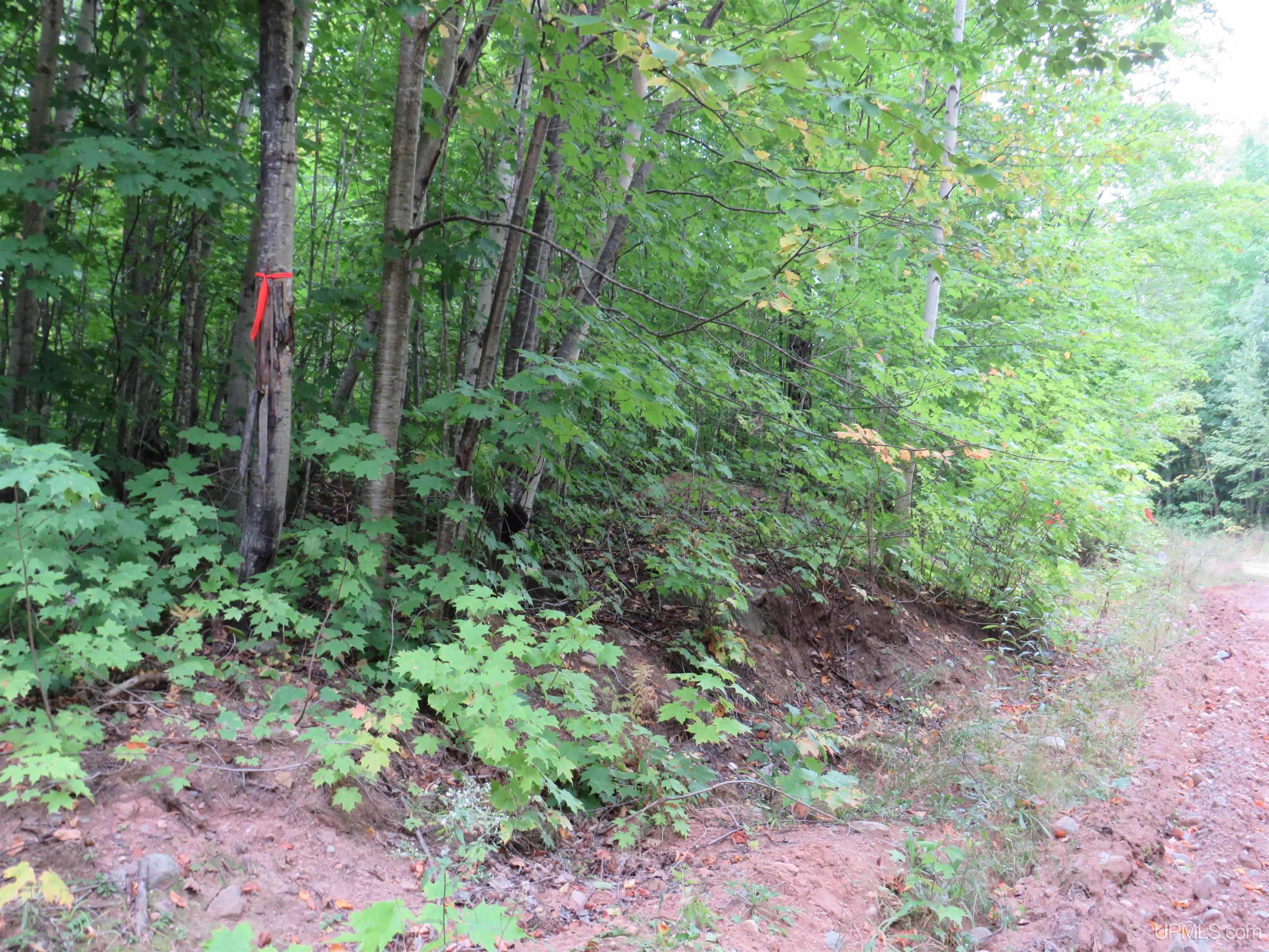 Tbd Tbd Garlic Mountain Road Negaunee, MI 49866 - Photo 48 of 61