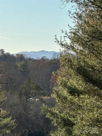 a view of a forest with mountains in the background