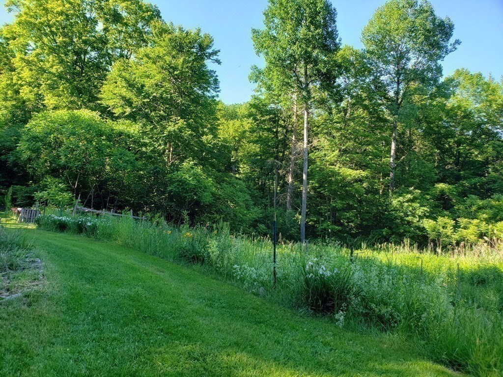 31 Goss Hill Road Huntington, MA 01050 - Photo 2 of 20 a view of a lush green space