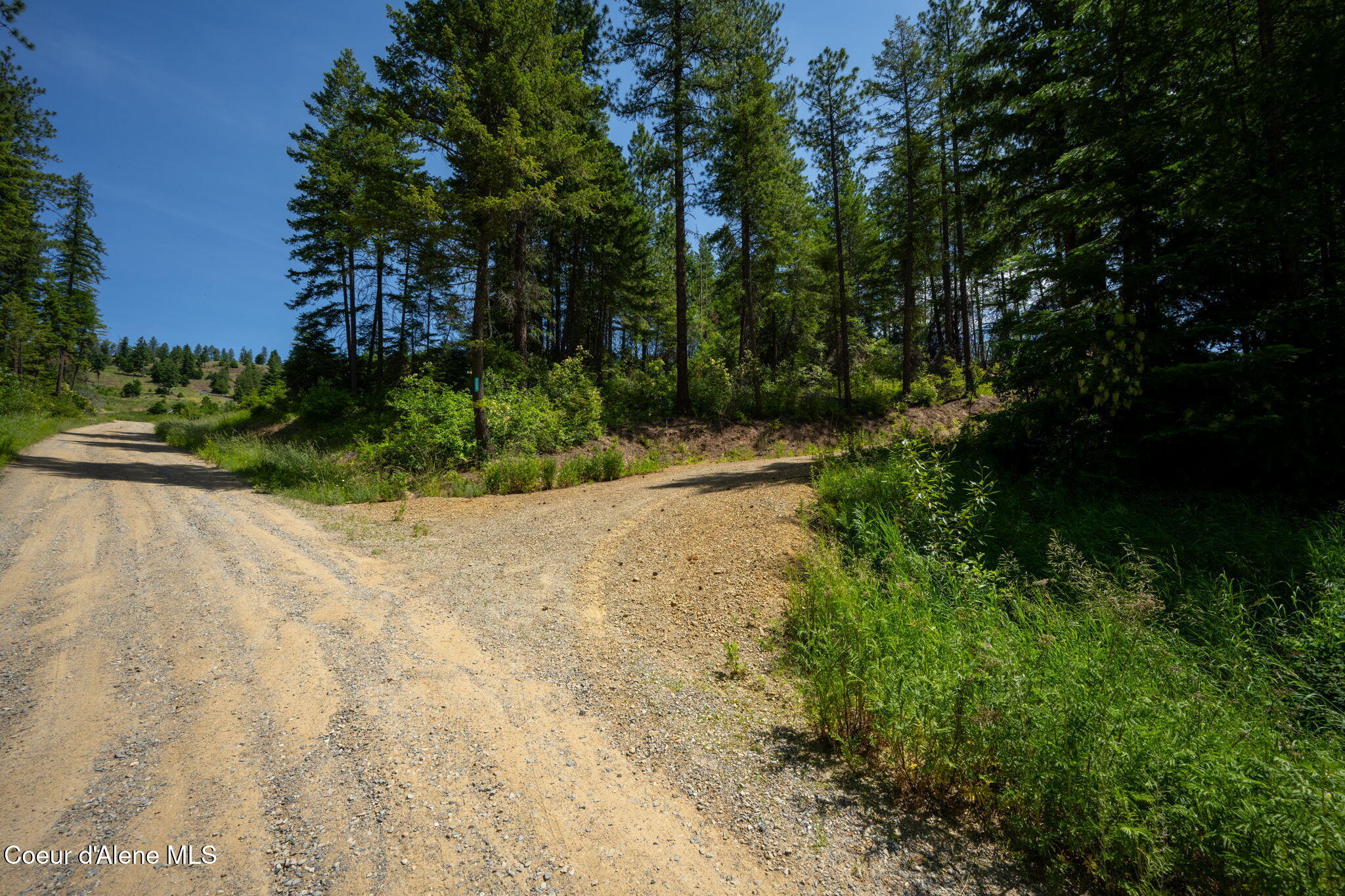 2089 Tower Mountain Road Blanchard, ID 83804 - Photo 14 of 35 20-web-or-mls-DSC_5665