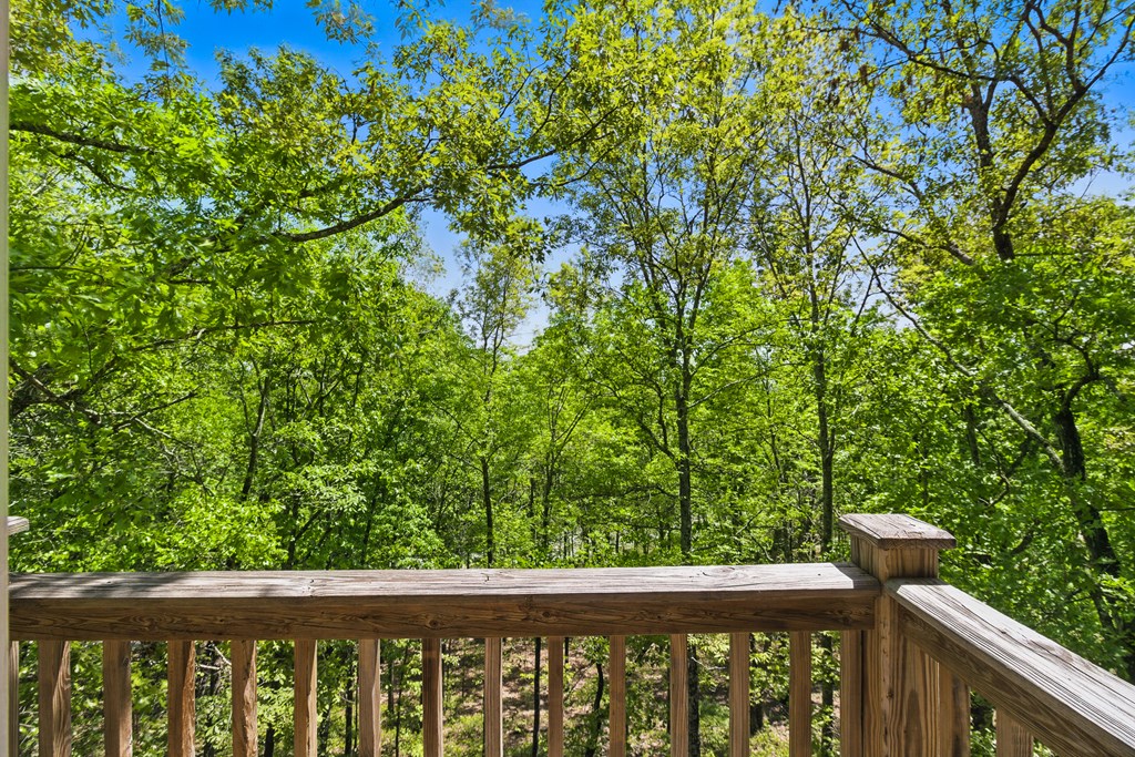 15635 Us Highway Hamilton, GA 31811 - Photo 14 of 66 Deck Balcony view of the Treetops