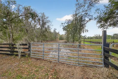 $499,999 | 11803 Dog Hollow Lane, Lithia, FL 33547