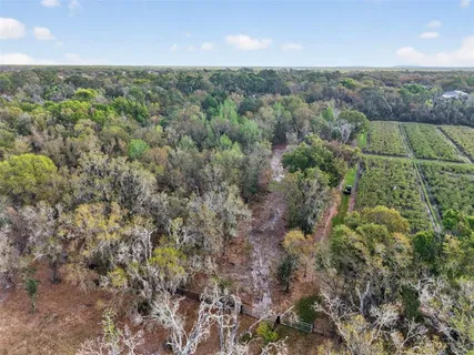 $499,999 | 11803 Dog Hollow Lane, Lithia, FL 33547