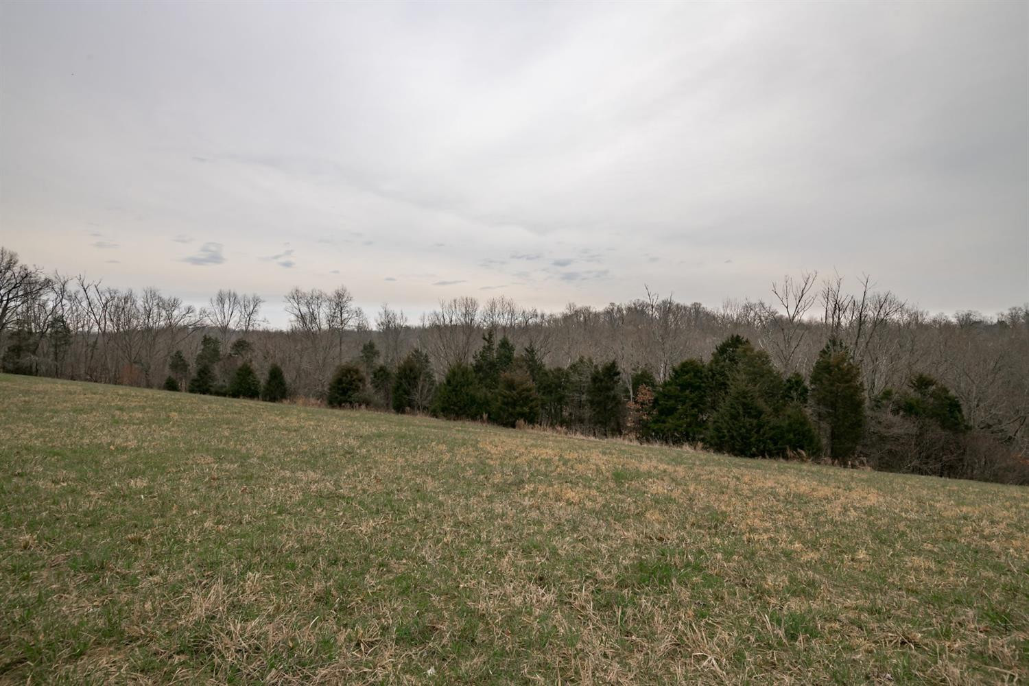 1255 Corinth Road Lawrenceburg, KY 40342 - Photo 28 of 38 Photo 28