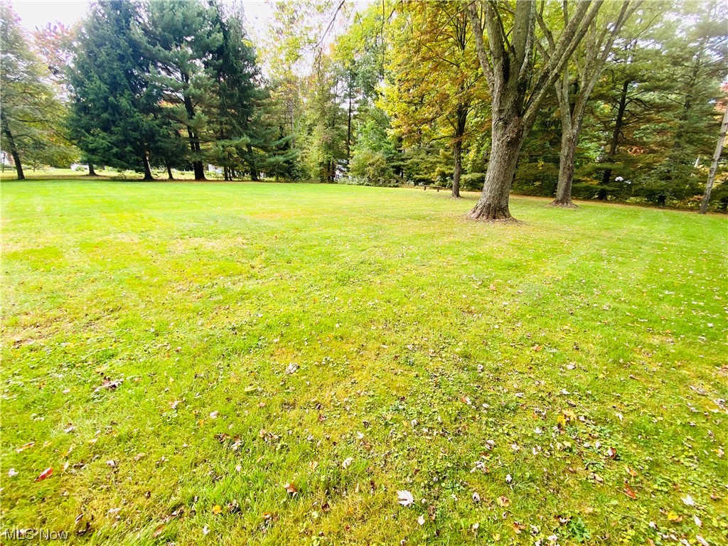 19119 West Middletown Road Beloit, OH 44609 - Photo 12 of 28 View of yard