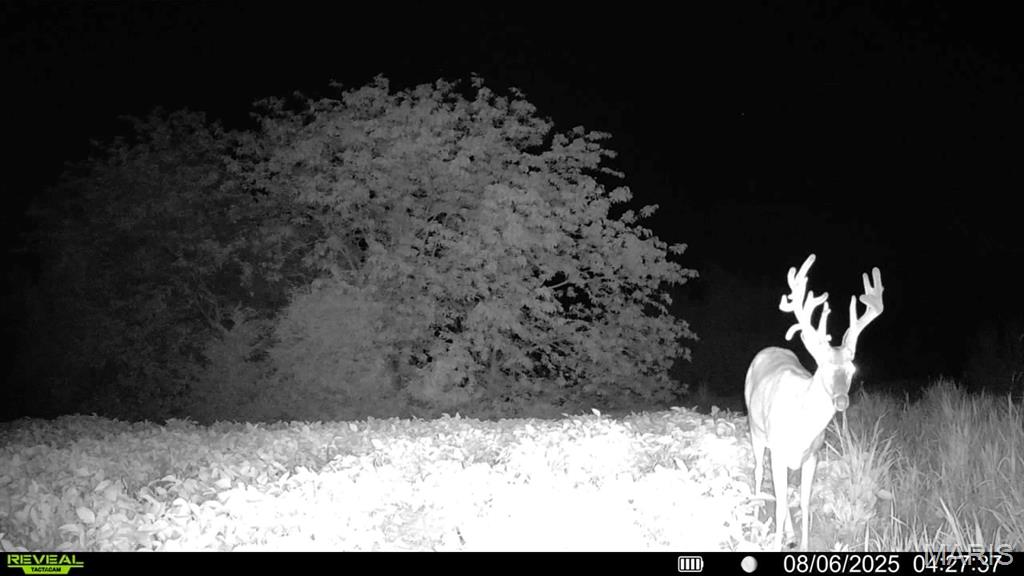 0 Fortune Road Burlington Junction, MO 64428 - Photo 7 of 40