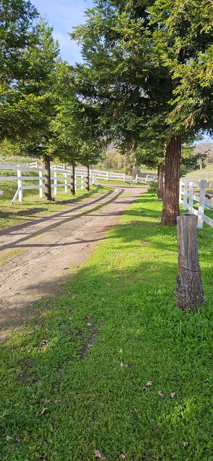33555 Merrill Ranch Road O'Neals, CA 93645 - Photo 3 of 4 a view of a big yard with wooden fence