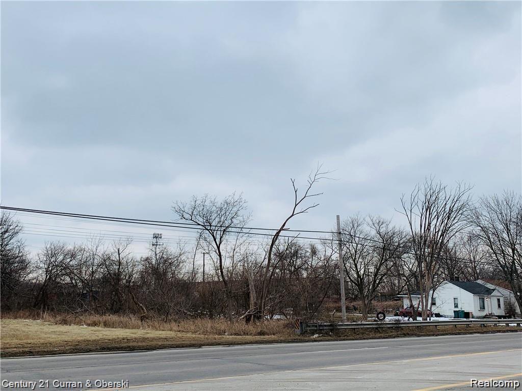 0 Middlebelt Road Detroit, MI 48242 - Photo 2 of 3