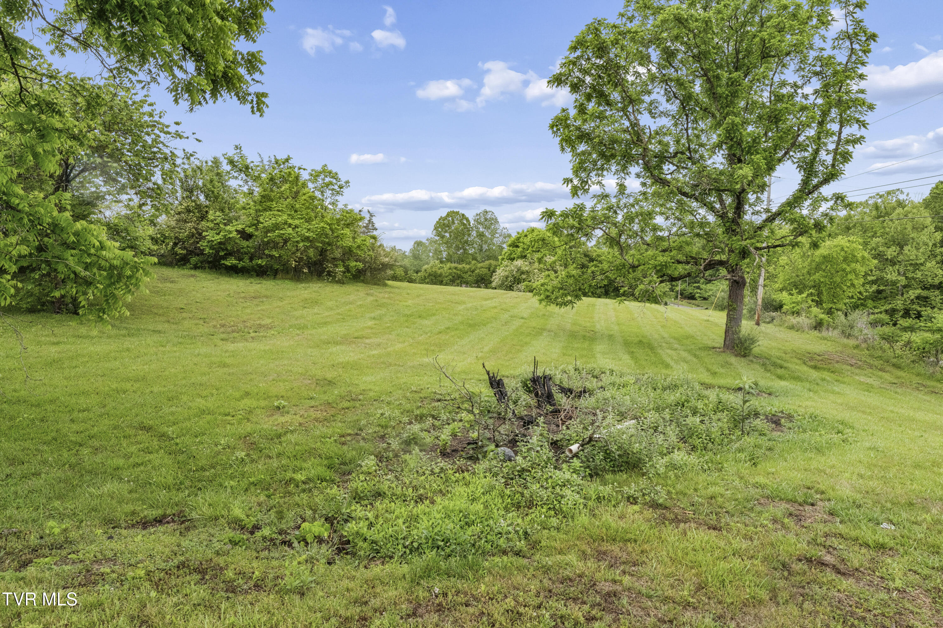 1313 Oasis Road Bulls Gap, TN 37711 - Photo 29 of 46 Oasis--38
