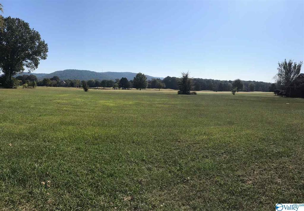 10 Plantation Pointe Road Scottsboro, AL 35768 - Photo 1 of 1 1154450