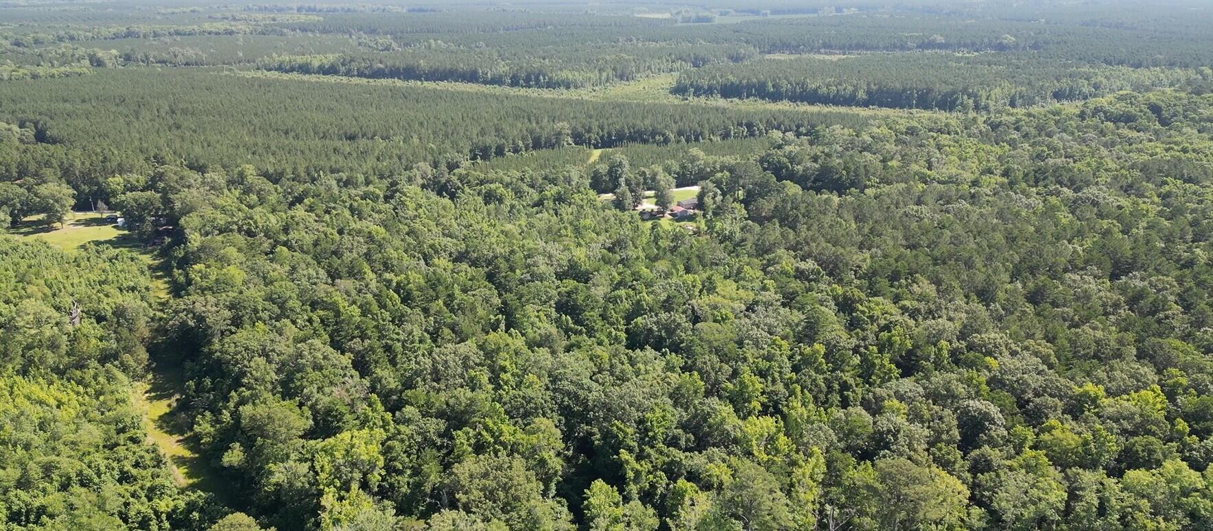 0 Hyde Park Road Adams Run, SC 29426 - Photo 8 of 12 dji_fly_20260514_051802_179_178137465027
