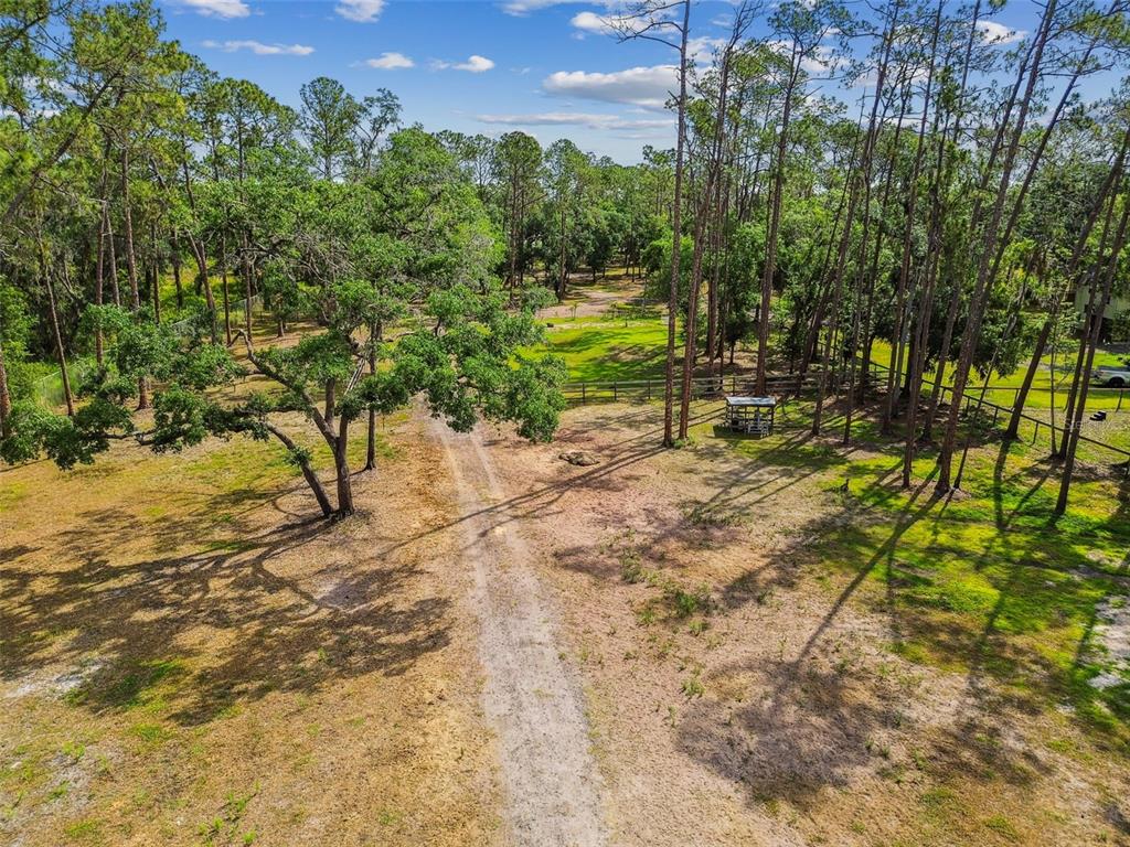 2853 Saffold Road Wimauma, FL 33598 - Photo 53 of 62 a view of a yard with plants and large trees