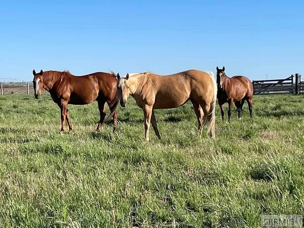 $415,000 | 590 Park Road, Arco, ID 83213