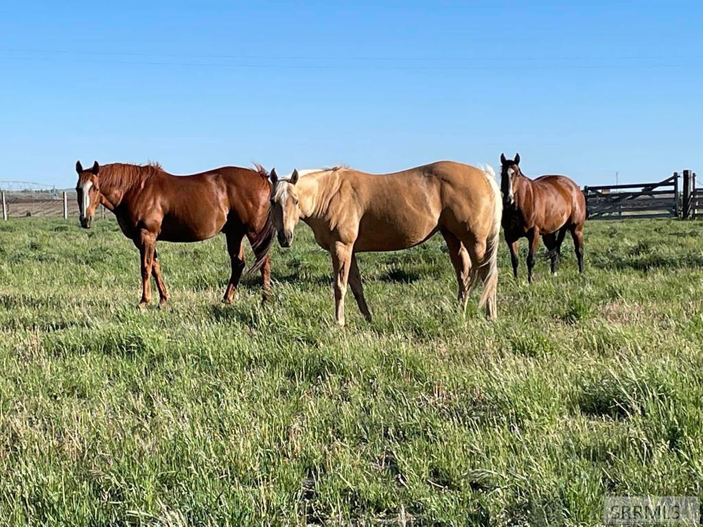 590 Park Road Arco, ID 83213 - Photo 48 of 55