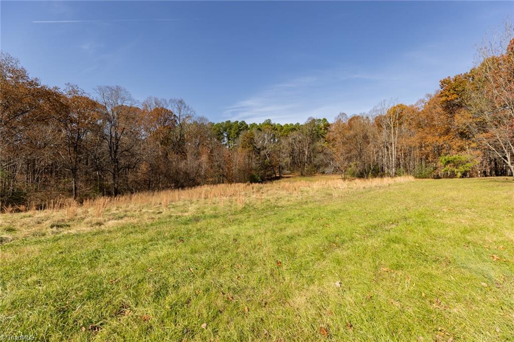 450 Simpson Reidsville, NC 27320 - Photo 16 of 23 Horses and Cattle welcome. 3 separate fields on this 13.9 acre home.