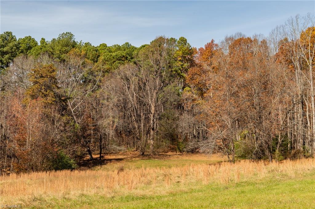450 Simpson Reidsville, NC 27320 - Photo 17 of 23 A Place for the horses to call home.