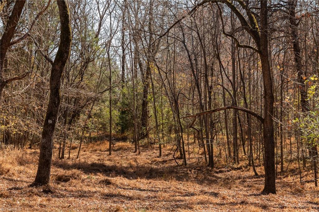 450 Simpson Reidsville, NC 27320 - Photo 19 of 23 If hunting is your thing ample deer and turkey call this home.