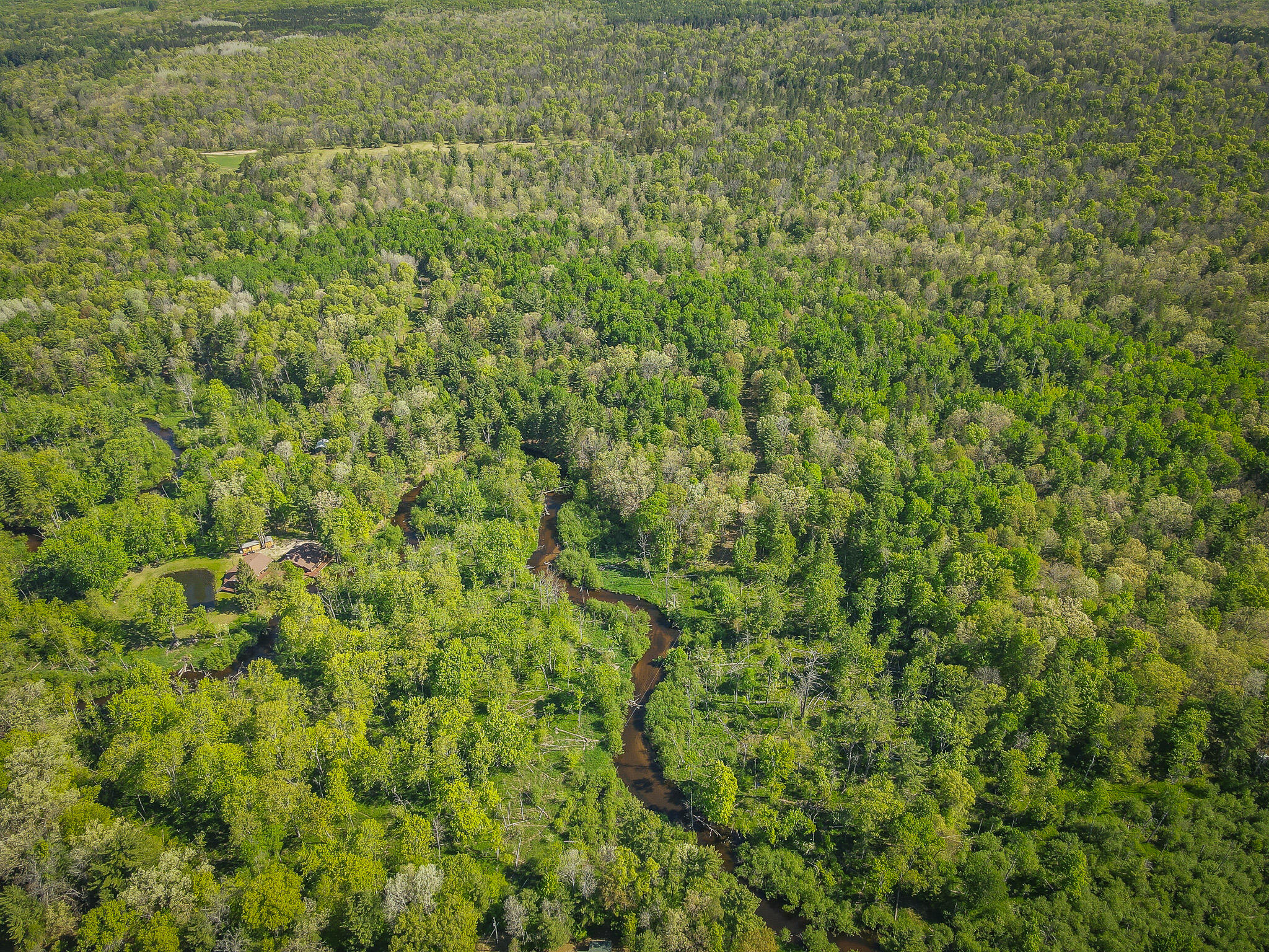 4364 West 4 Mile Road Irons, MI 49644 - Photo 10 of 39 4364 W 4 Mile Rd. Pic 10