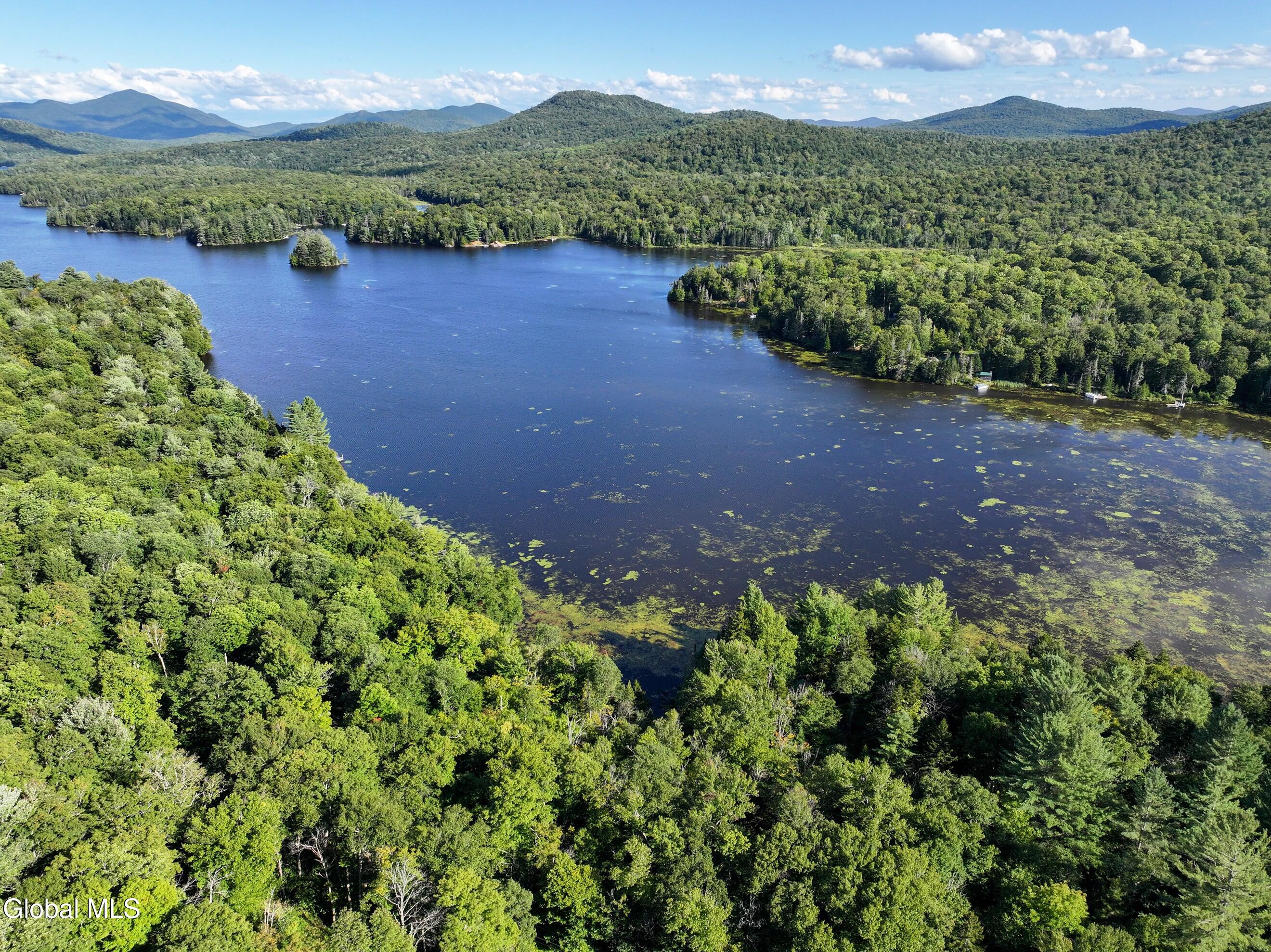 427 Woody's Road Newcomb, NY 12852 - Photo 5 of 15 DJI_20250825164439_0601_D-2 (Copy)