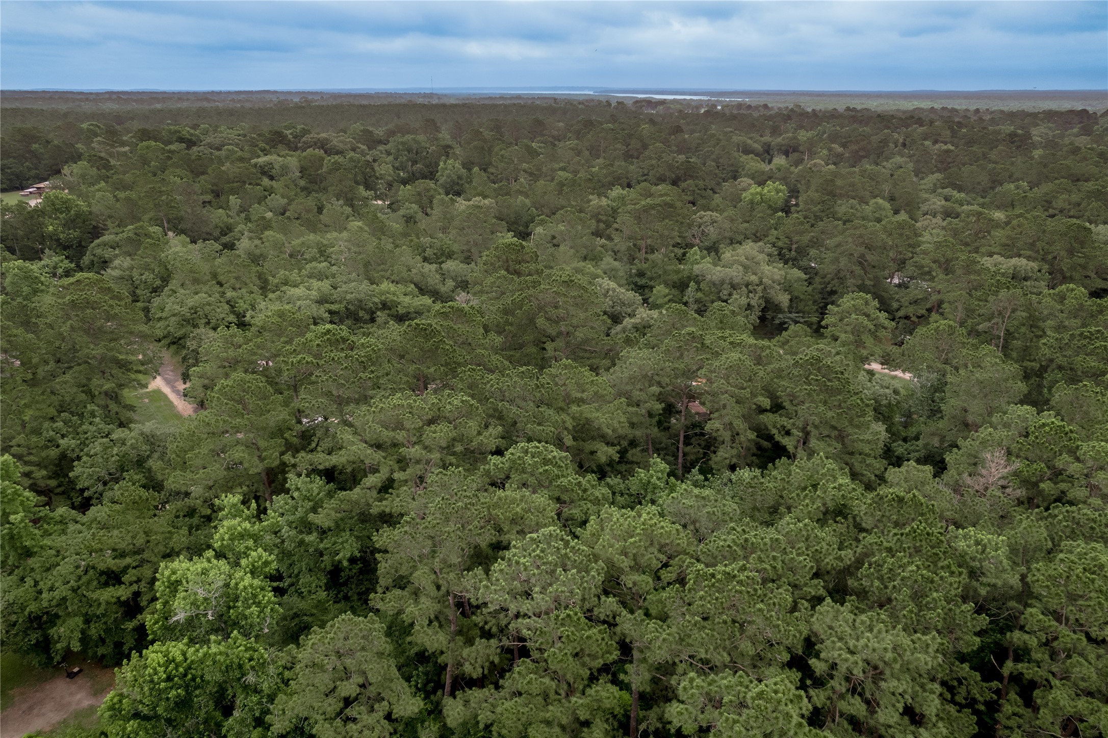 Lot 57 Post Oak Circle Trinity, TX 75862 - Photo 27 of 29