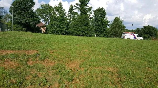 a view of a field of grass and trees