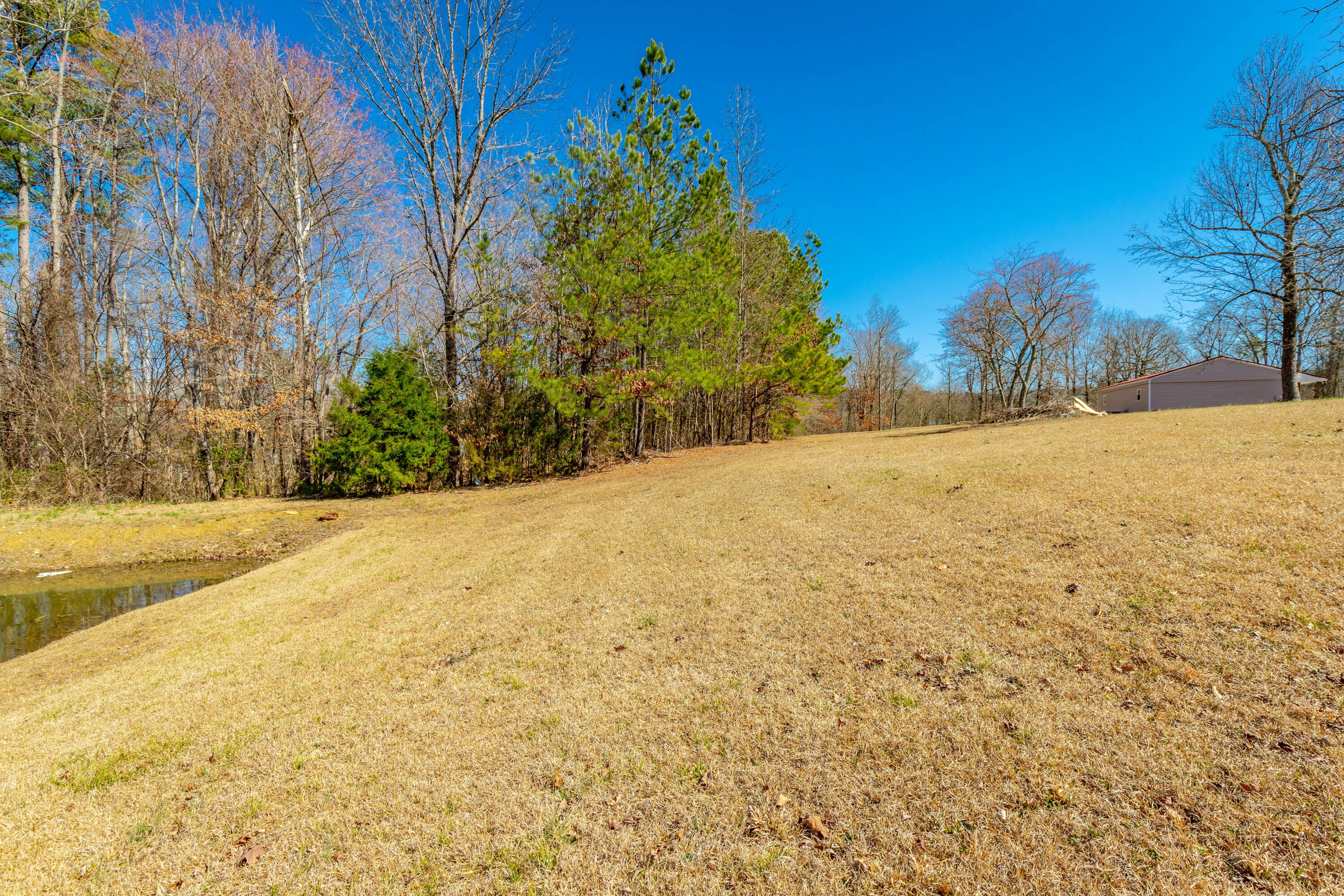 85 Deer Lane Ringgold, GA 30736 - Photo 31 of 88 85 Deer Lane Property HD-4