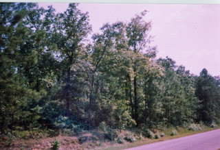 514 W Road Aiken, SC 29801 - Photo 1 of 1 a view of a city with lush green forest