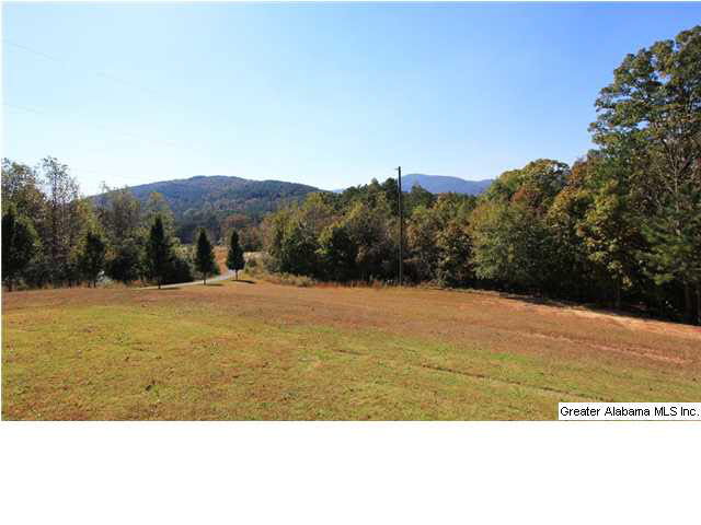46 Stone Ridge Trail Anniston, AL 36207 - Photo 12 of 32