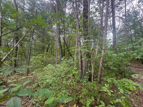$36,900 | Knollwood Court, Unit 75, Shawano, WI 54166